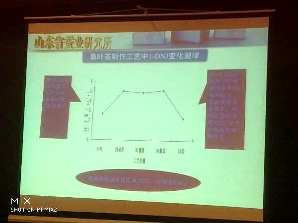 全省省力化植桑养蚕暨桑资源综合利用技术培顺班隆重举办